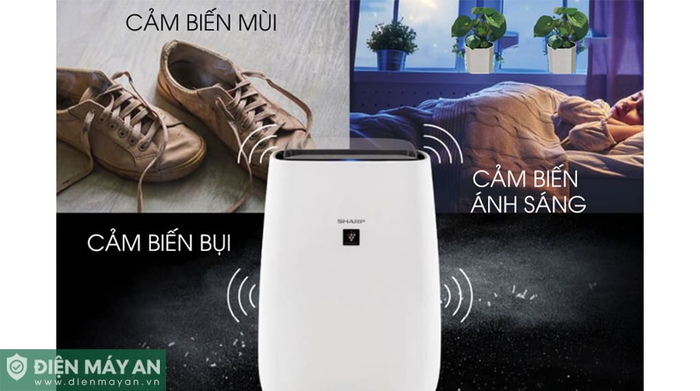 Máy lọc không khí Sharp FP-J40E-W 23W